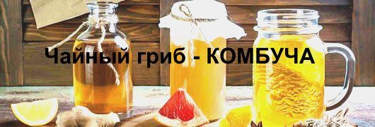 Чайный гриб - Комбуча Чайный гриб - Комбуча